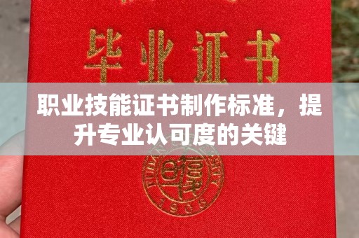 泸溪职业技能证书制作标准，提升专业认可度的关键