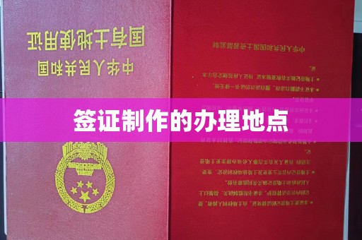 泸溪签证制作的办理地点