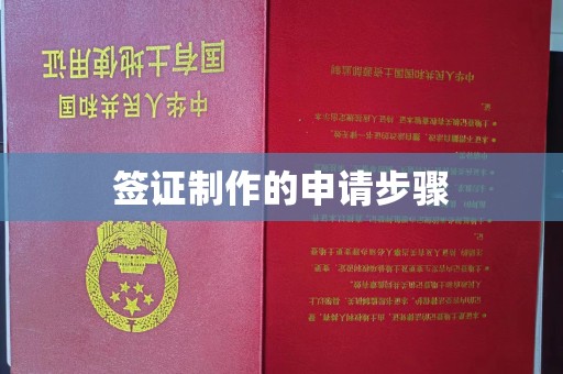 泸溪签证制作的申请步骤