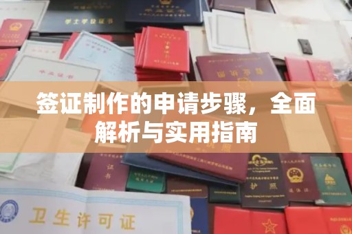 泸溪签证制作的申请步骤，全面解析与实用指南