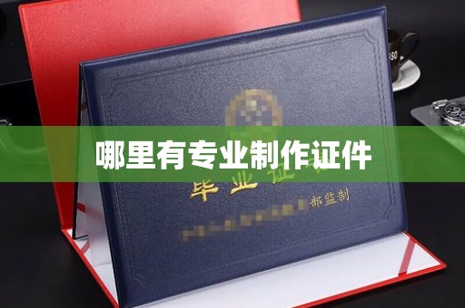 泸溪哪里有专业制作证件