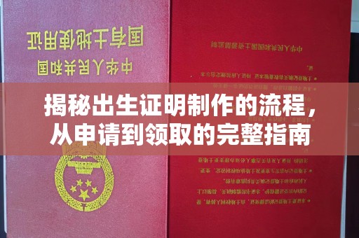 泸溪揭秘出生证明制作的流程，从申请到领取的完整指南