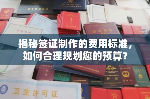 泸溪揭秘签证制作的费用标准，如何合理规划您的预算？