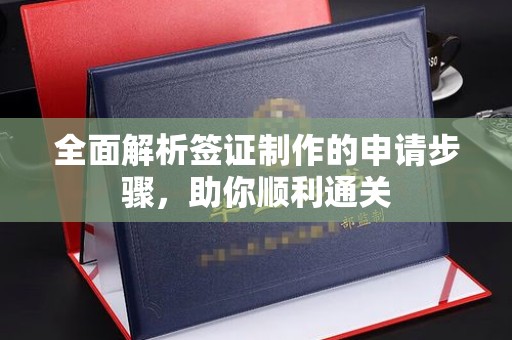 泸溪全面解析签证制作的申请步骤，助你顺利通关